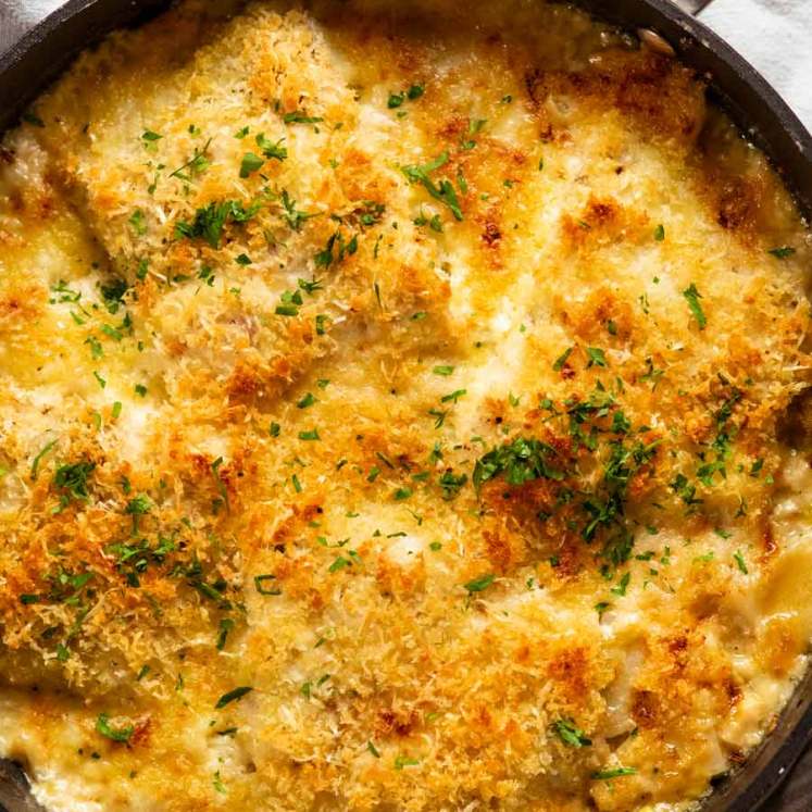 Creamy fish on potato gratin fresh out of the oven