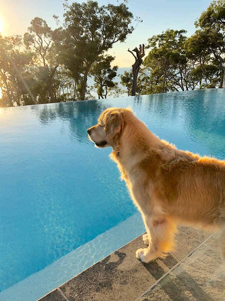 Dozer Bannisters Port Stephens May 2019