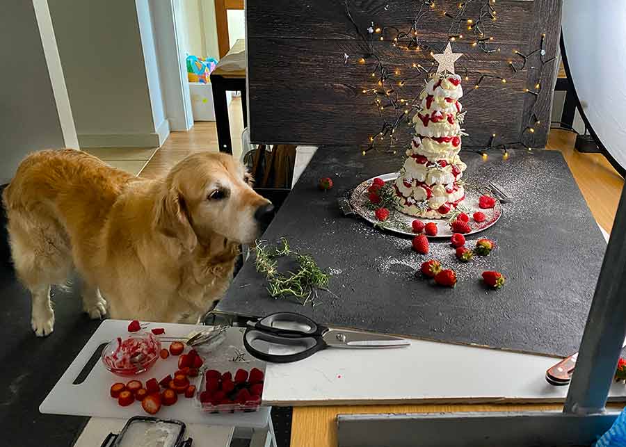 Dozer Pavlova Christmas Tree Dessert