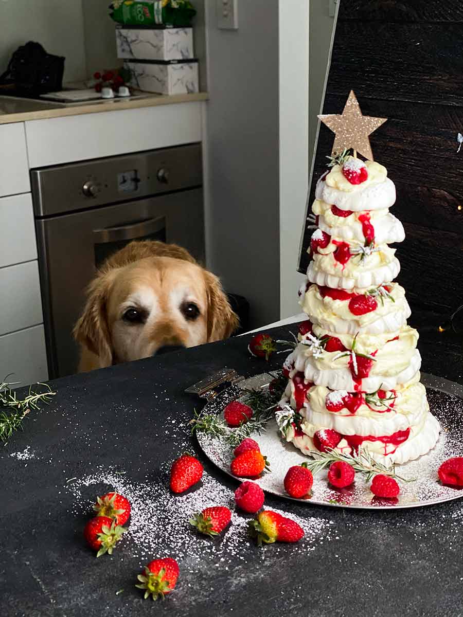 Dozer Pavlova Christmas Tree Dessert