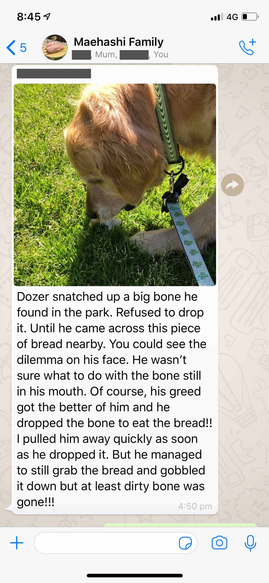 Dozer-family-WhatsApp