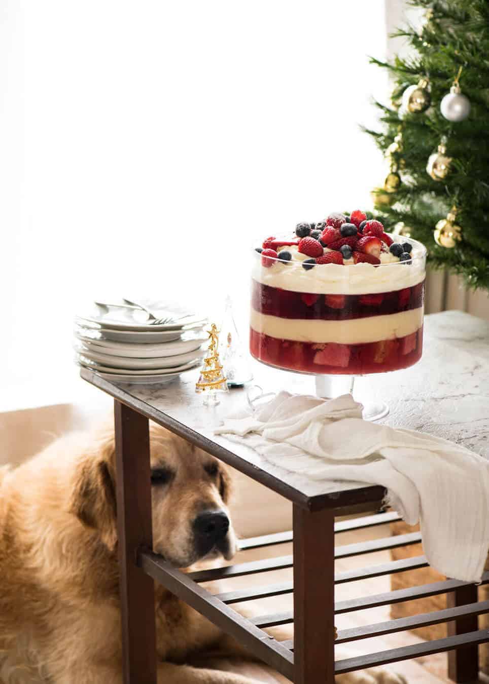 Dozer Christmas Trifle