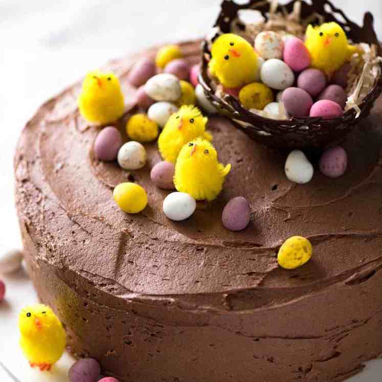 A Chocolate Cake with Buttercream Frosting decorated with small speckled Easter eggs and tiny fluffy yellow chicks.