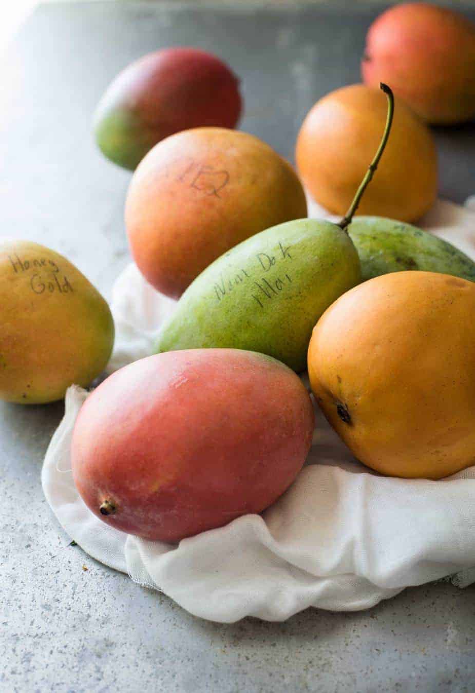 Different mango varieties grown at Groves Grown Tropical Fruits farm
